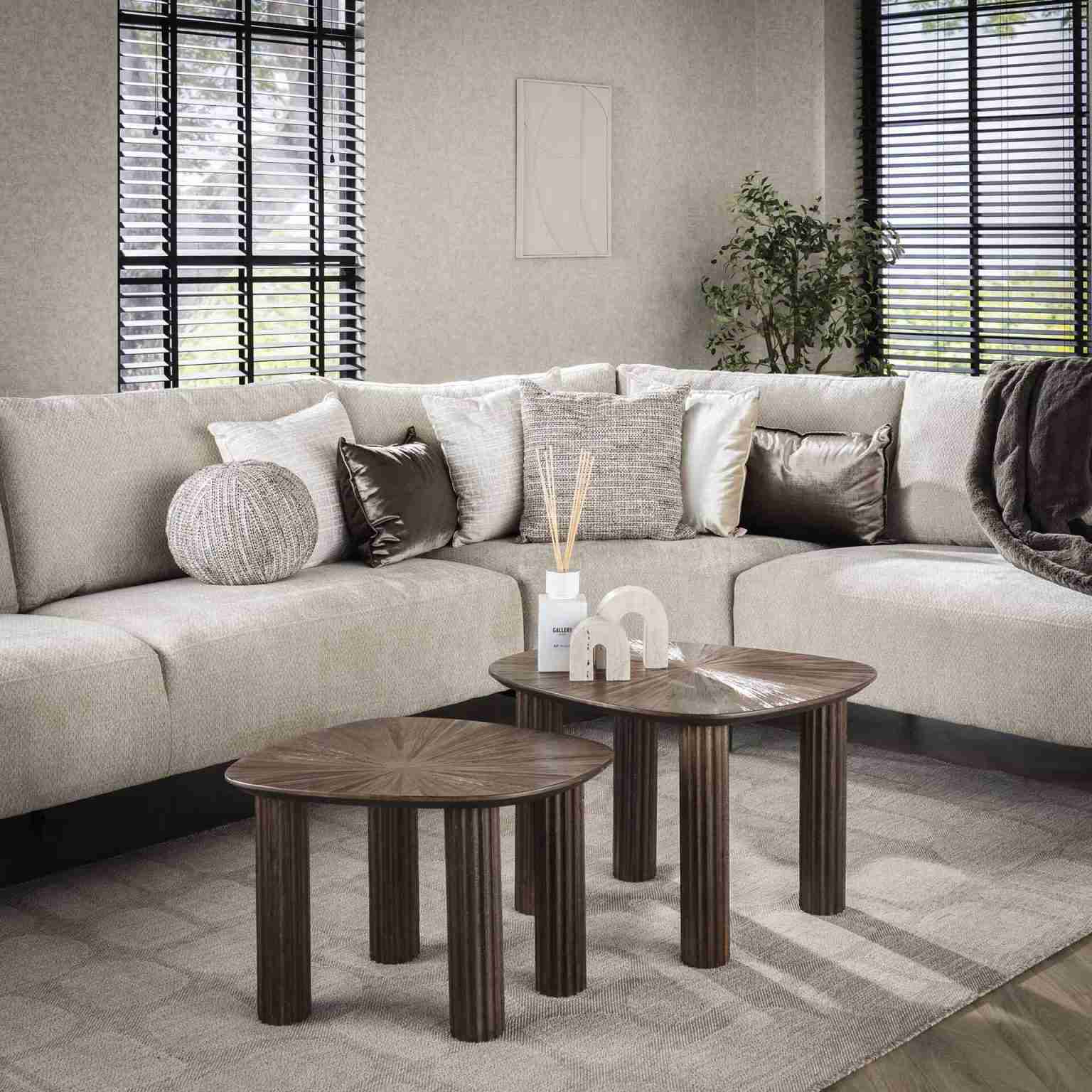 LifestyleFurn Organische Salontafel Sadaf Teakhout, Set van 2 stuks - Teak rust brown