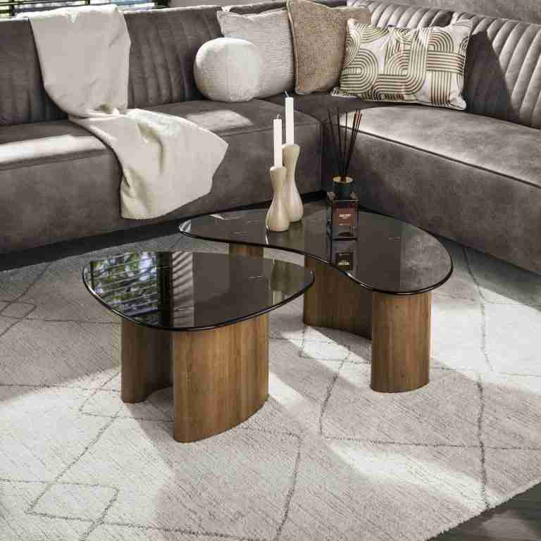 LifestyleFurn Organische Salontafel Kely, set van 2 stuks, Brons glas - Bruin